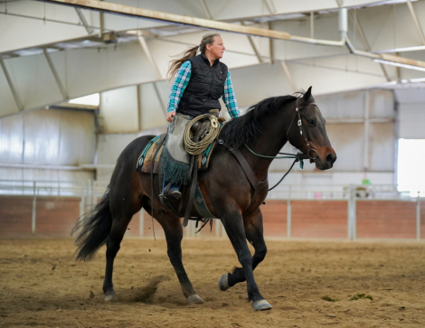 HorseID: 2304380 RS MOWTOWN - PhotoID: 1087362