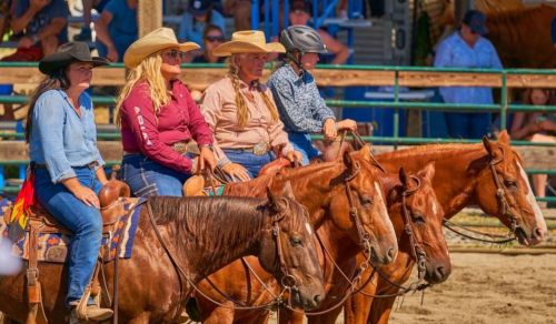 HorseID: 2304405 Blues Rey Dual - PhotoID: 1087391