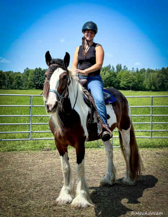 HorseID: 2304432 HavAdream Coat of Many Colors - PhotoID: 1087409