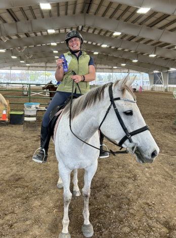 HorseID: 2304447 Moro Silver Girl - PhotoID: 1087443