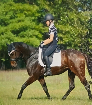 HorseID: 2304452 Cool Fortune - PhotoID: 1087683