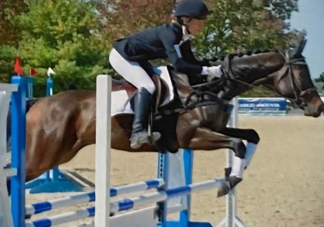 HorseID: 2304452 Cool Fortune - PhotoID: 1087685