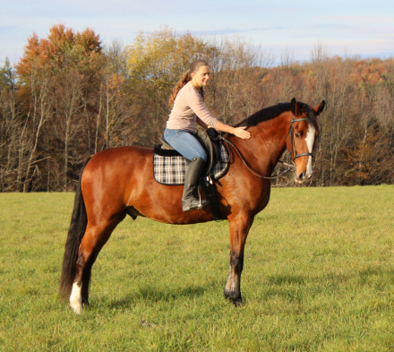 HorseID: 2304470 DK's Rollan Like A Bigshot - PhotoID: 1087520