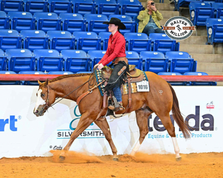 HorseID: 2304475 Flawless Execution - PhotoID: 1087463