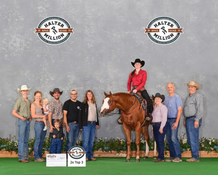 HorseID: 2304475 Flawless Execution - PhotoID: 1087464