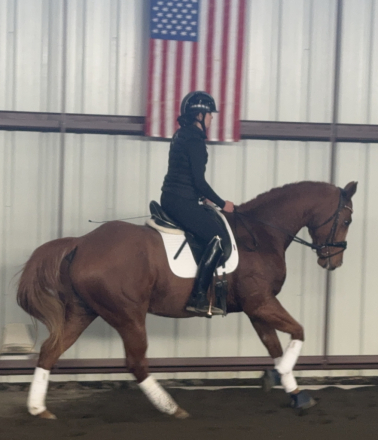 HorseID: 2304476 Bird - PhotoID: 1087490