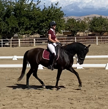 HorseID: 2304482 Tenaya - PhotoID: 1087470