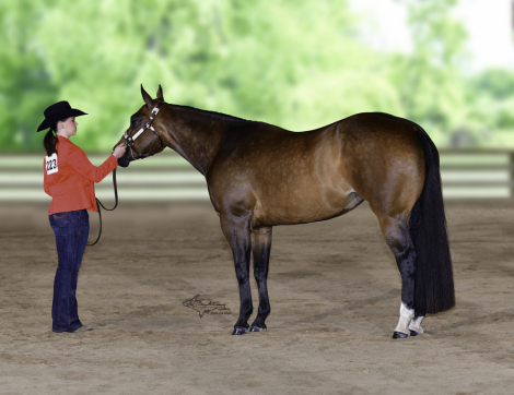 HorseID: 2304489 Elle oh elle - PhotoID: 1087471