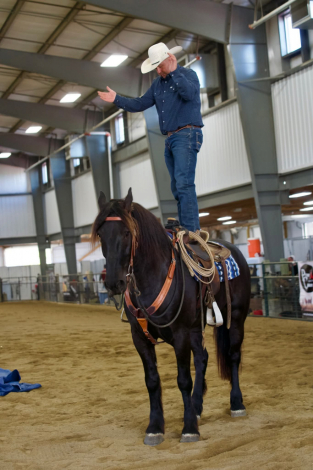 HorseID: 2304497 Big Boy - PhotoID: 1087723