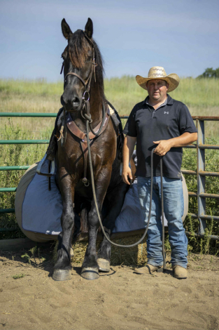 HorseID: 2304497 Big Boy - PhotoID: 1087725