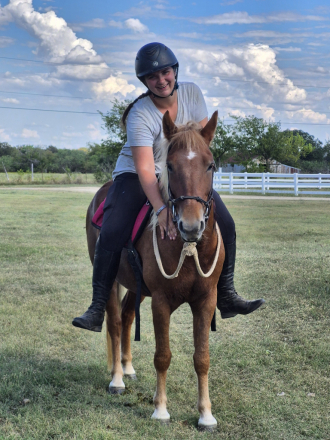 HorseID: 2304522 Dewy - PhotoID: 1087505