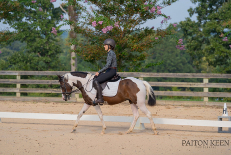 HorseID: 2304526 What’s the Dill - PhotoID: 1087511