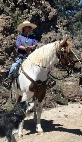 HorseID: 2304563 Stag Creek's Seminole Mesa - PhotoID: 1087564