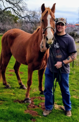 HorseID: 2304585 Poppy - PhotoID: 1087602