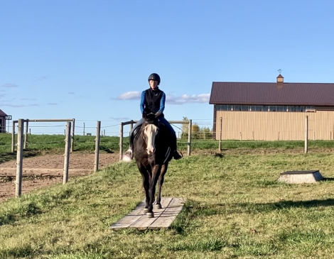 HorseID: 2304594 Cannoli - PhotoID: 1087614