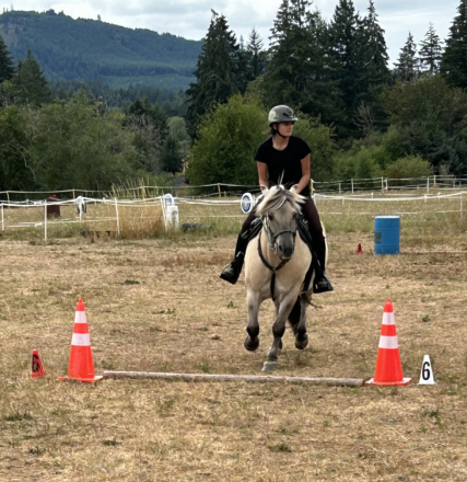 HorseID: 2304608 Featherstone’s Boe - PhotoID: 1087949