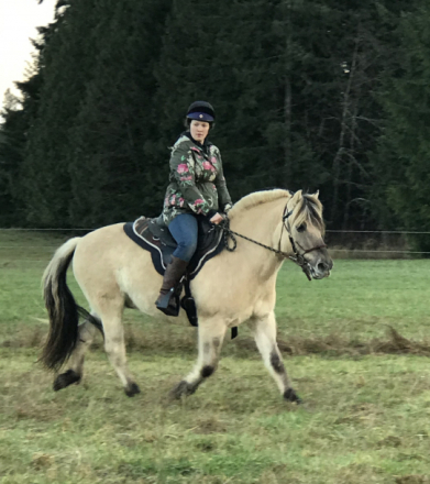 HorseID: 2304608 Featherstone’s Boe - PhotoID: 1087951