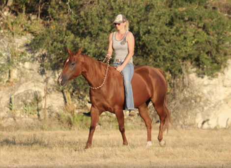 HorseID: 2304625 BARBIES BURN BOOK - PhotoID: 1088100