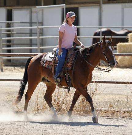 HorseID: 2304627 Hywayman - PhotoID: 1087633