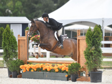 HorseID: 2304630 Kilkenny Intrepid - PhotoID: 1087635