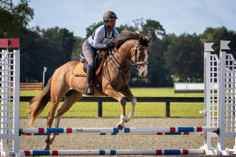 HorseID: 2304636 SEE HER AT THE CLUB - PhotoID: 1087641