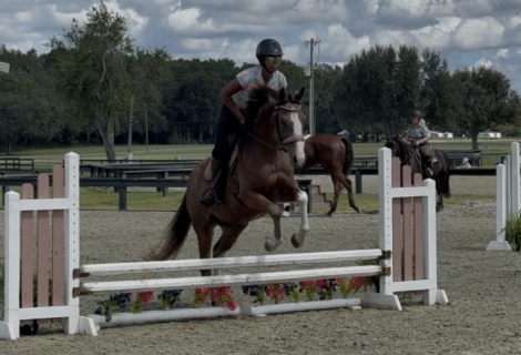 HorseID: 2304636 SEE HER AT THE CLUB - PhotoID: 1087643