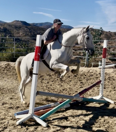 HorseID: 2304673 Prince charming - PhotoID: 1087680