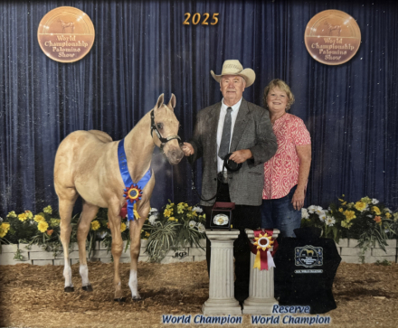 HorseID: 2304682 SPEECHES - PhotoID: 1087687