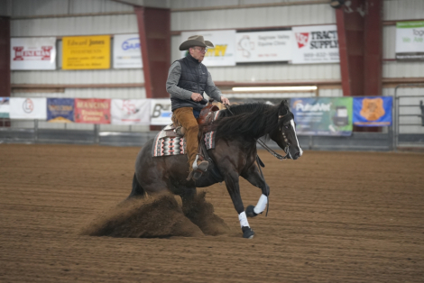 HorseID: 2304683 Smokey Blue Boon - PhotoID: 1087688