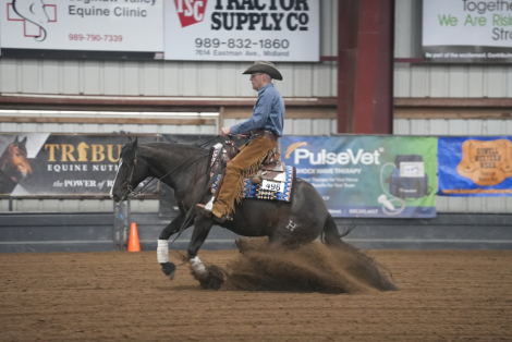 HorseID: 2304683 Smokey Blue Boon - PhotoID: 1087689