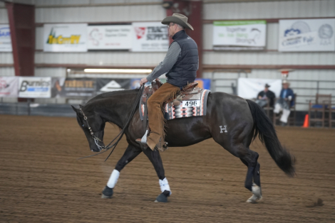 HorseID: 2304683 Smokey Blue Boon - PhotoID: 1087690