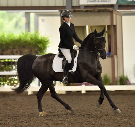 HorseID: 2304703 Gracie (Hiro It’s Me) - PhotoID: 1087694