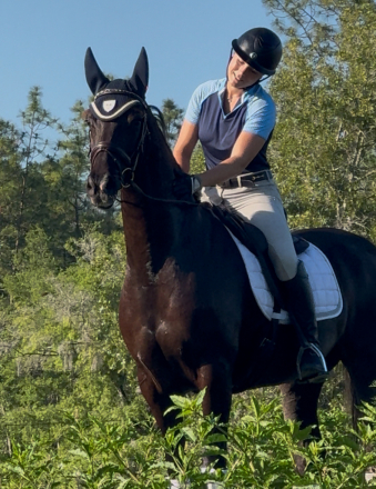 HorseID: 2304703 Gracie (Hiro It’s Me) - PhotoID: 1087695