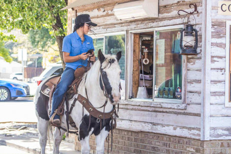 HorseID: 2304706 Lil Wayne AD - PhotoID: 1087809