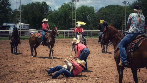 HorseID: 2304706 Lil Wayne AD - PhotoID: 1087810