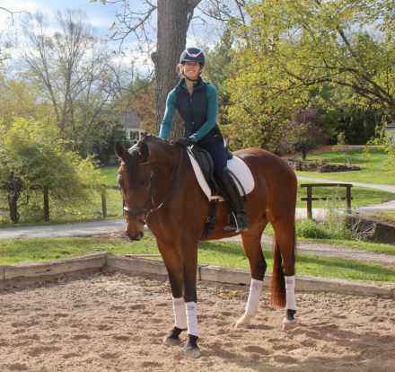 HorseID: 2304713 Rising Star ISF - PhotoID: 1087701