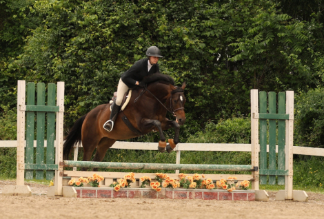 HorseID: 2304717 Willy Be My Valentine - PhotoID: 1087707