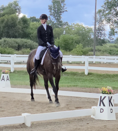 HorseID: 2304717 Willy Be My Valentine - PhotoID: 1087708