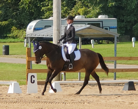 HorseID: 2304717 Willy Be My Valentine - PhotoID: 1087712