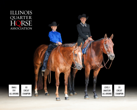 HorseID: 2304728 Impulsed by Flash - PhotoID: 1087729