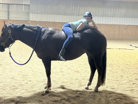 HorseID: 2304728 Impulsed by Flash - PhotoID: 1087730