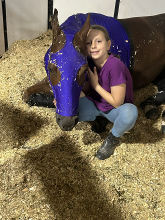 HorseID: 2304728 Impulsed by Flash - PhotoID: 1087731