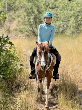 HorseID: 2304733 Bria - PhotoID: 1087738