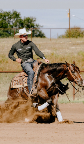 HorseID: 2304737 Just Shining My Gun - PhotoID: 1087739