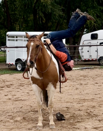 HorseID: 2304740 JWR Designer Gems - PhotoID: 1087754