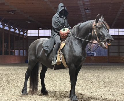 HorseID: 2304742 Kale - PhotoID: 1087755