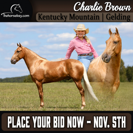HorseID: 2304748 Charlie Brown - PhotoID: 1087762