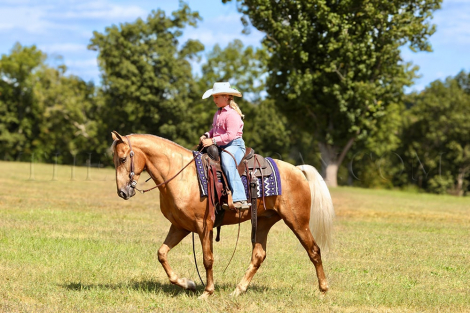 HorseID: 2304748 Charlie Brown - PhotoID: 1087764