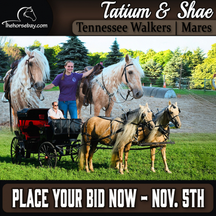 HorseID: 2304750 Tatium and Shae - PhotoID: 1087768