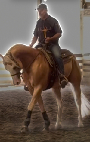 HorseID: 2304783 Cody - PhotoID: 1087882